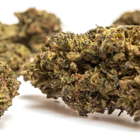 SUPER_LEMON_HAZE_THX_CBD_004-768×768