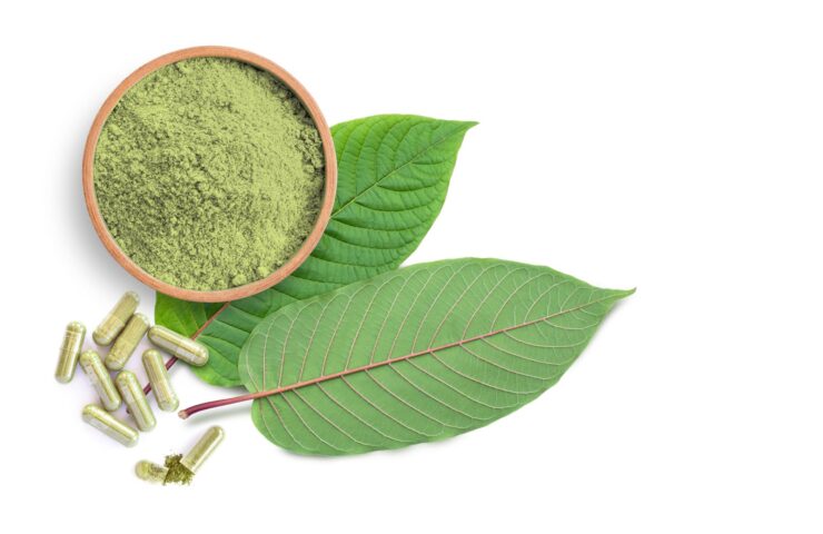 Co to je kratom: původ, účinky a důležité informace