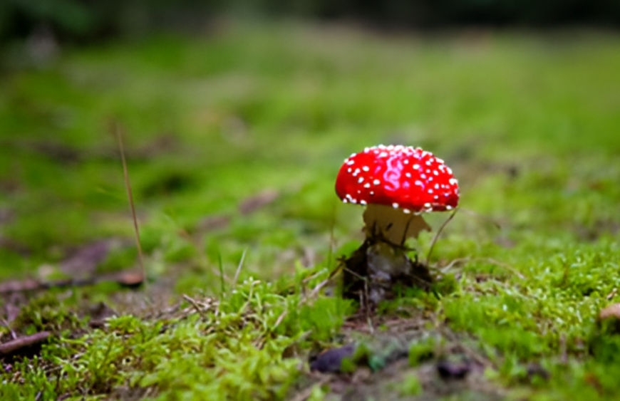 Možná rizika a bezpečnostní opatření při používání