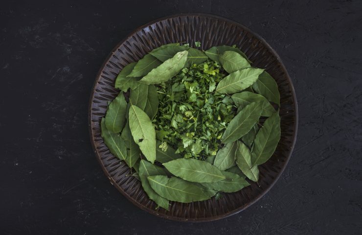 kratom zjistitelný v krvi