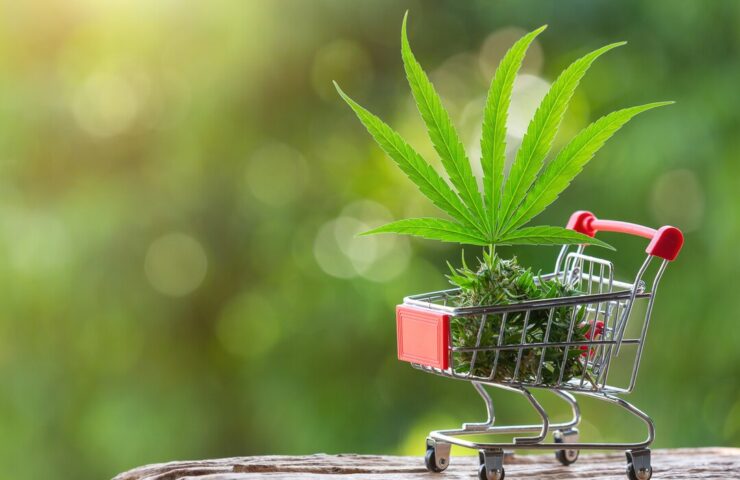 spolehlivého velkoobchodního dodavatele CBD a THX