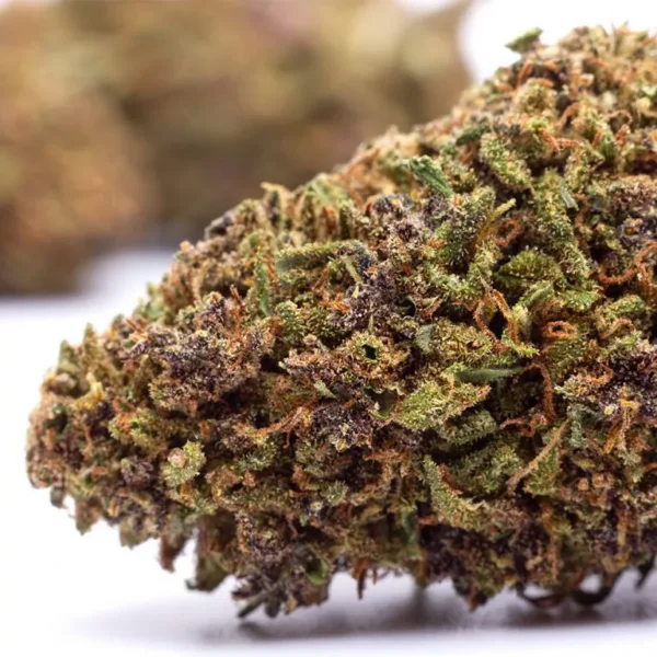 Purple Punch THX 1 Purple Punch THX