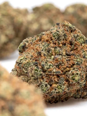 Mango Kush THX