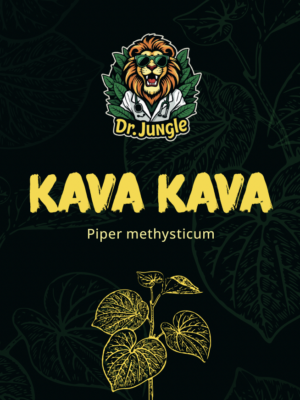 Kava kava