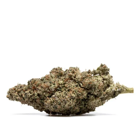 WHITE_RUSSIAN_THX_CBD_001-768×768
