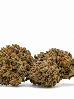 Alien Cookie NOVA