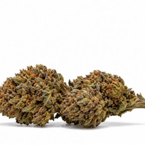 Alien Cookie NOVA