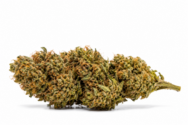 Royal Amnesia Haze NOVA 1 Royal Amnesia Haze NOVA