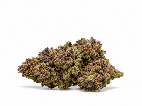 Sweet Berry NOVA 1 Sweet Berry NOVA